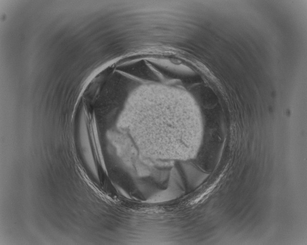 X0000081410838200702021600