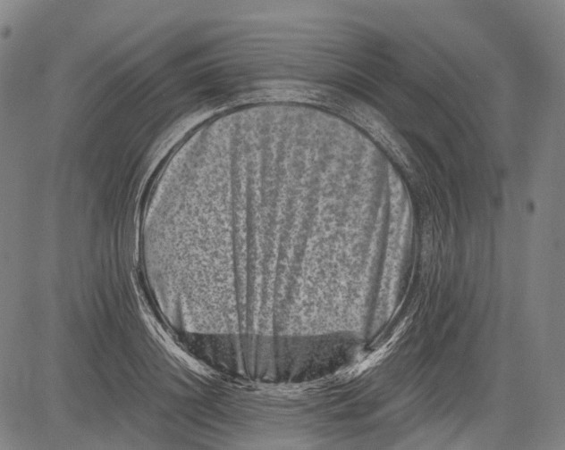 X0000081410844200702021600