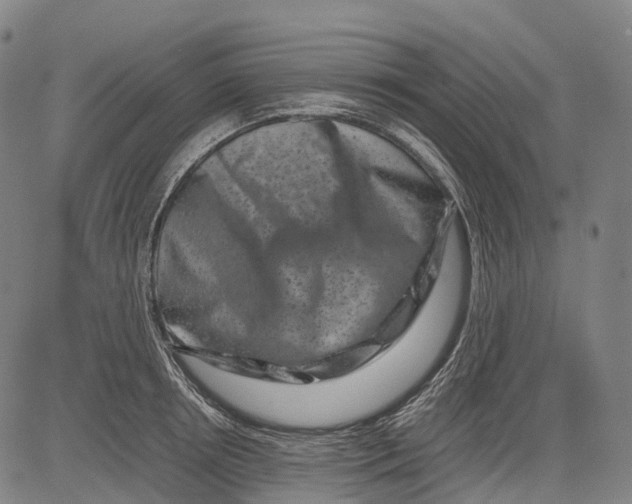 X0000081410850200702021600
