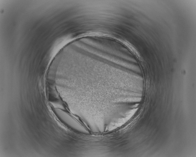 X0000081410854200702021600