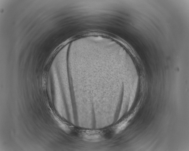 X0000081410857200702021601