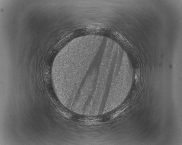 X0000081410867200702021600