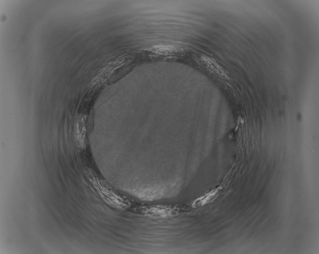 X0000081410868200702021600