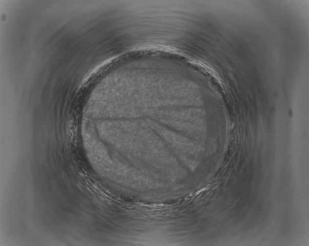 X0000081410872200702021600