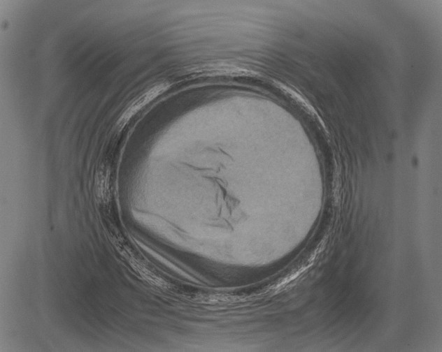 X0000081410873200702021600