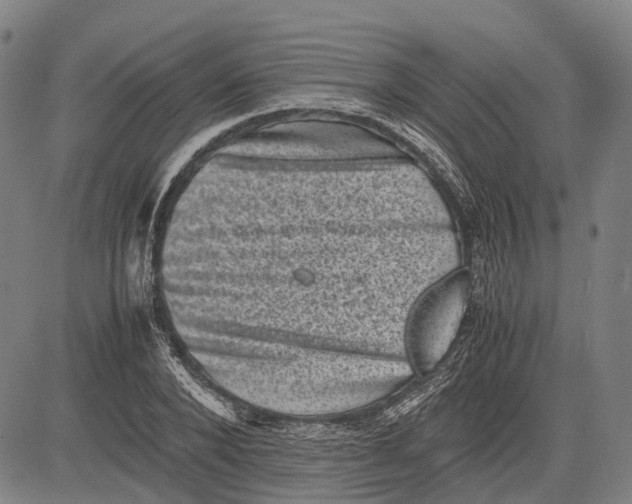 X0000081410880200702021600