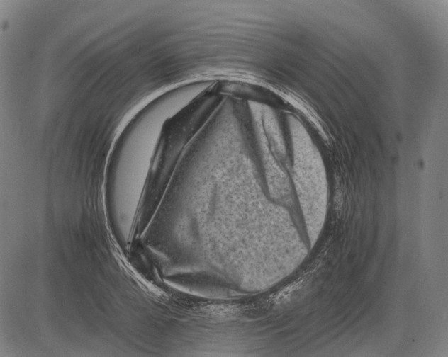 X0000081410888200702021559