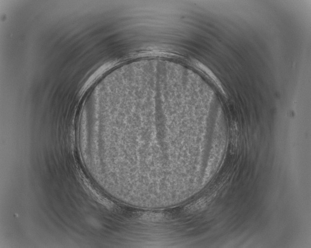 X0000081410890200702021559