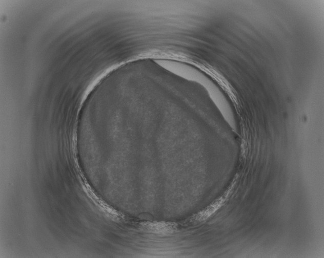 X0000081410896200702021559