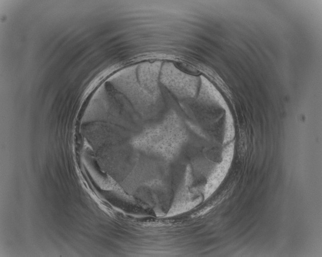 X0000081410898200702021559
