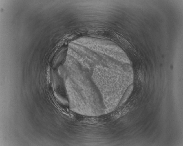 X0000081410914200702021558