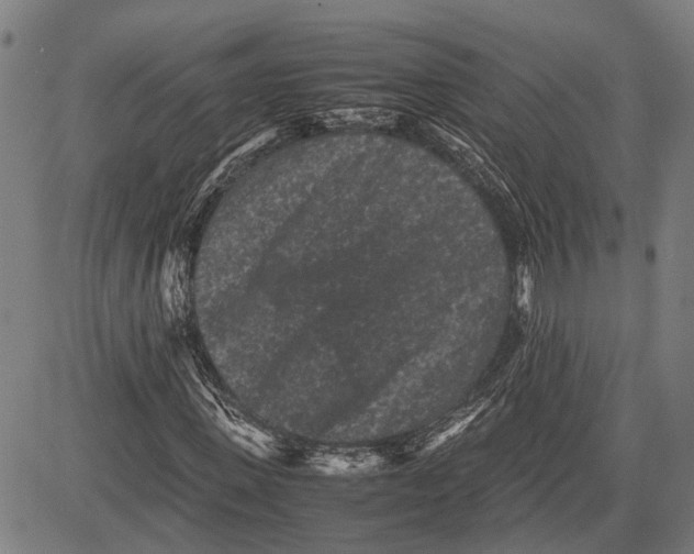 X0000081410915200702021558