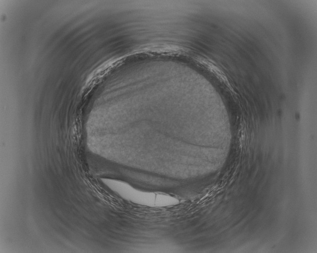 X0000081410920200702021558