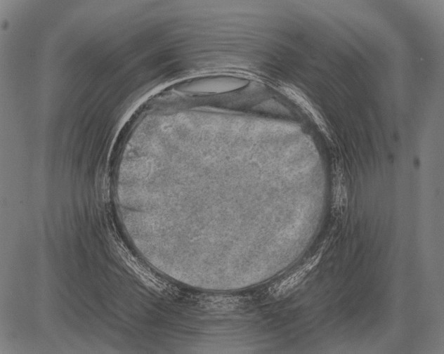 X0000081410924200702021559