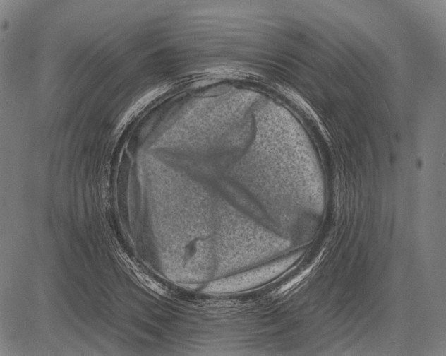 X0000081410930200702021559