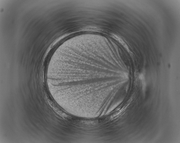 X0000081410931200702021559