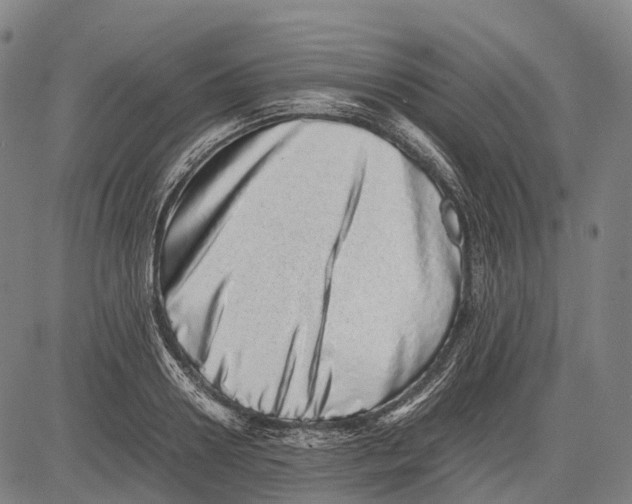 X0000081410938200702021559