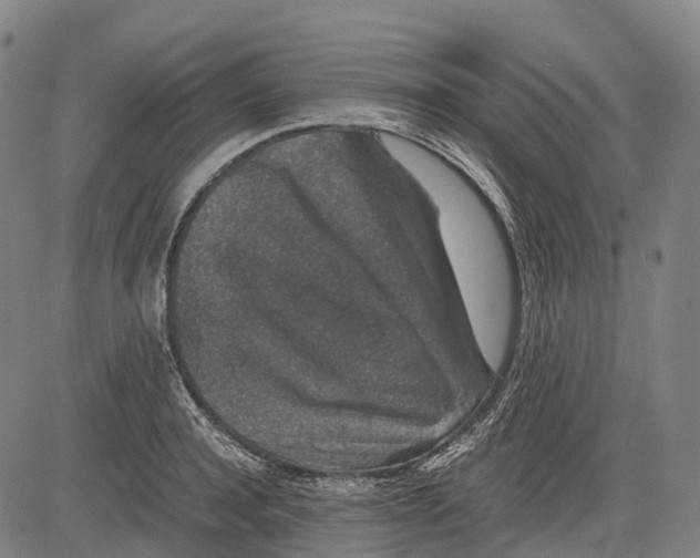 X0000081410944200702021559