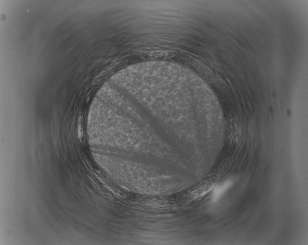 X0000081410962200702021558