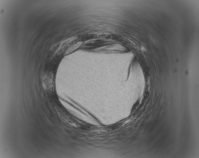 X0000081410963200702021558