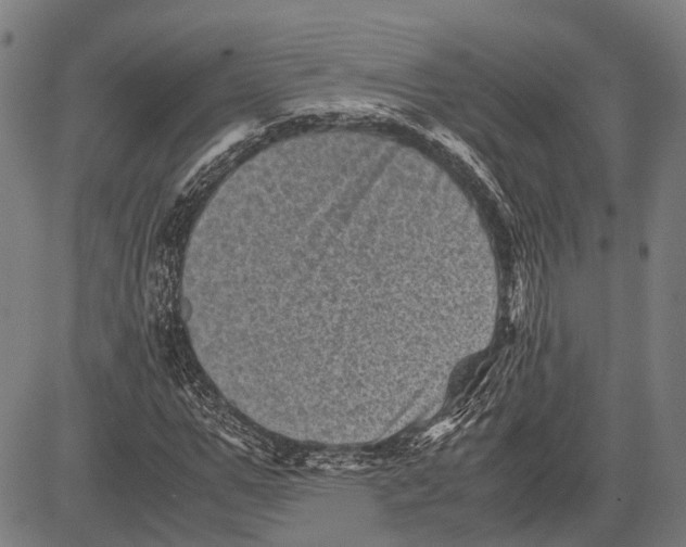 X0000081410967200702021558
