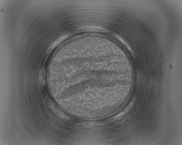 X0000081410970200702021558