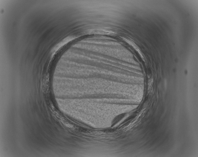 X0000081410971200702021558