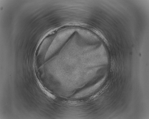 X0000081410976200702021558