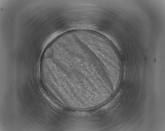 X0000081410982200702021558