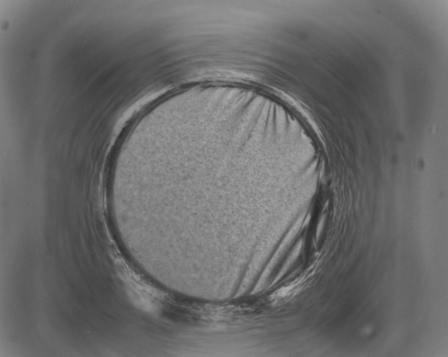 X0000081410987200702021558
