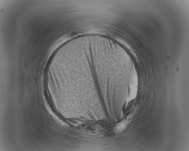 X0000081410991200702021558