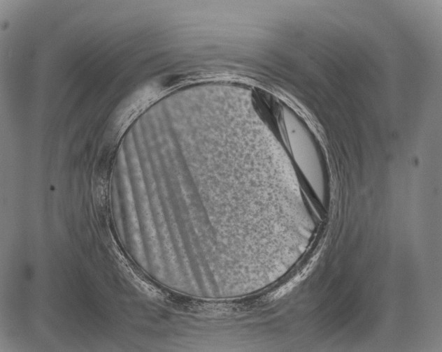 X0000081410993200702021558