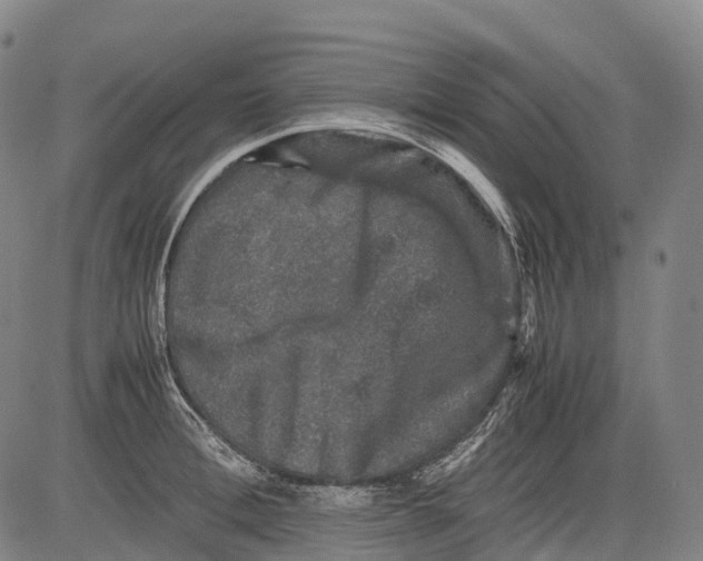 X0000081410996200702021558