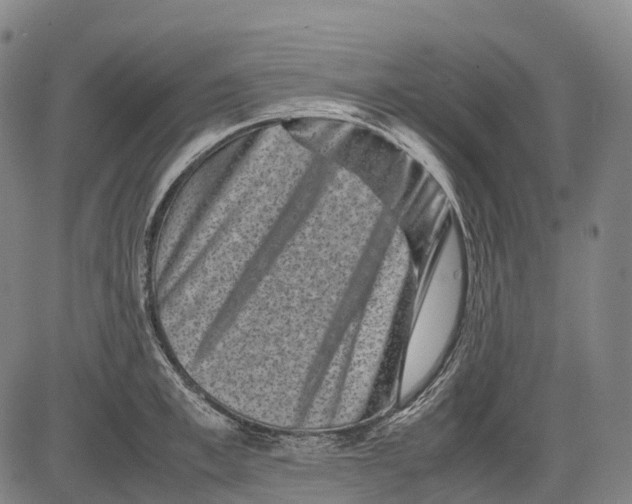X0000081410997200702021558