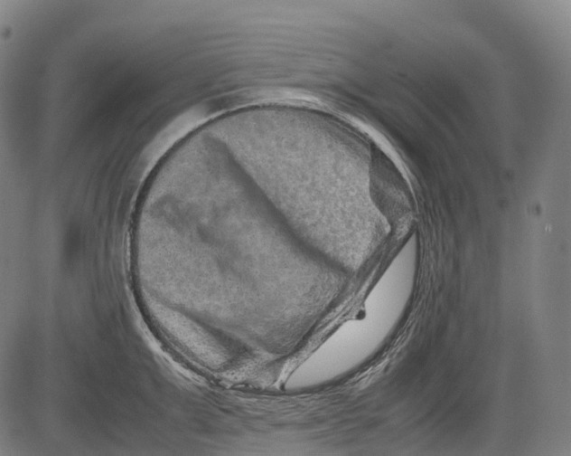 X0000081410999200702021558