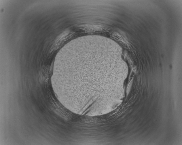 X0000081411012200702021557