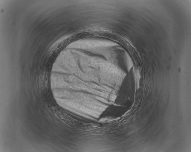 X0000081411016200702021557