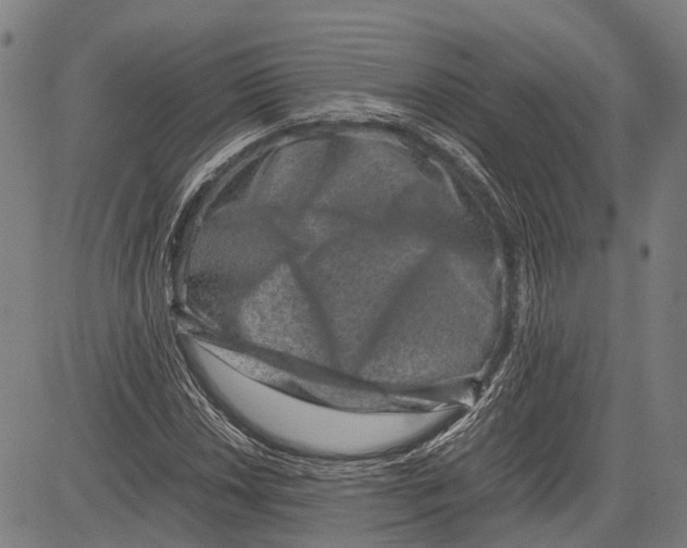 X0000081411018200702021557