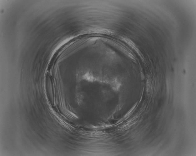 X0000081411024200702021557