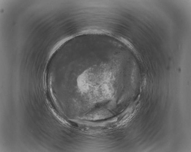 X0000081411030200702021557