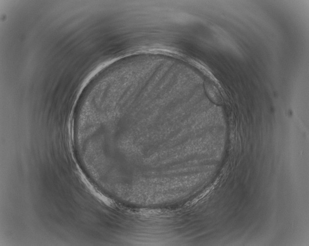 X0000081411032200702021557