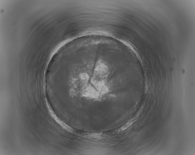 X0000081411038200702021557