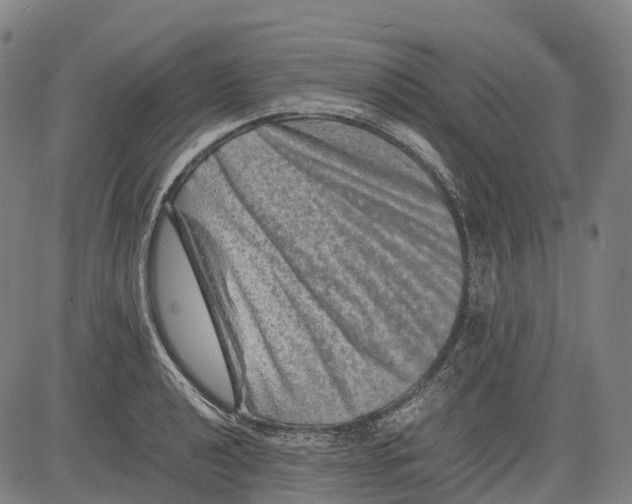 X0000081411040200702021557