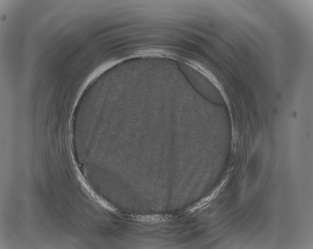 X0000081411045200702021557