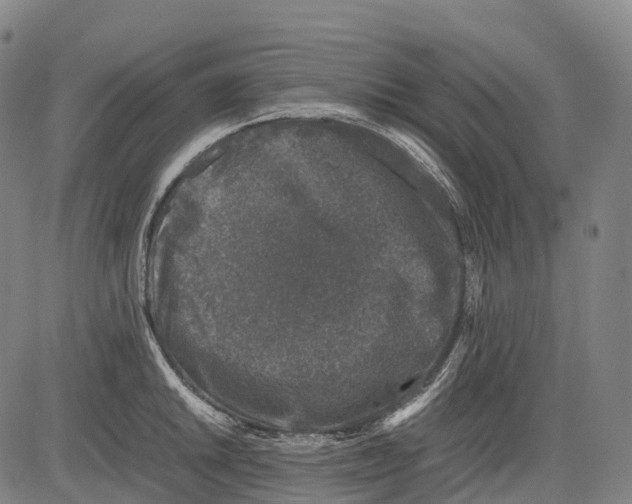 X0000081411046200702021557