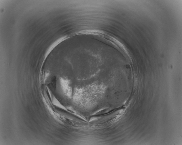 X0000081411050200702021557