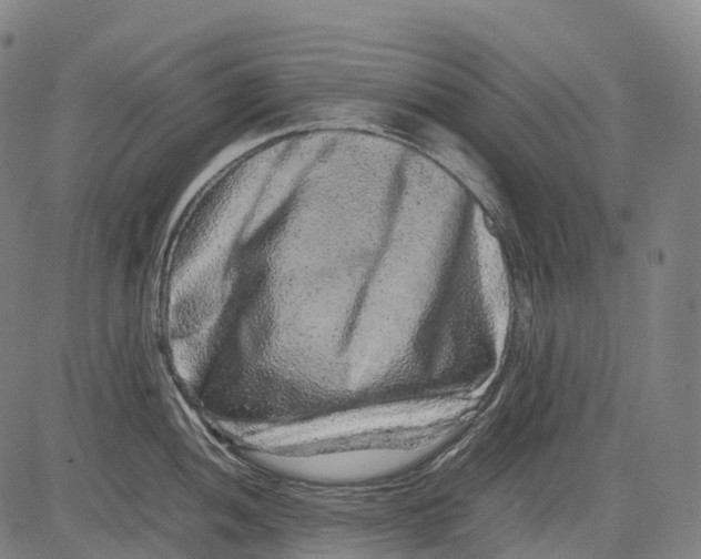 X0000081411052200702021557