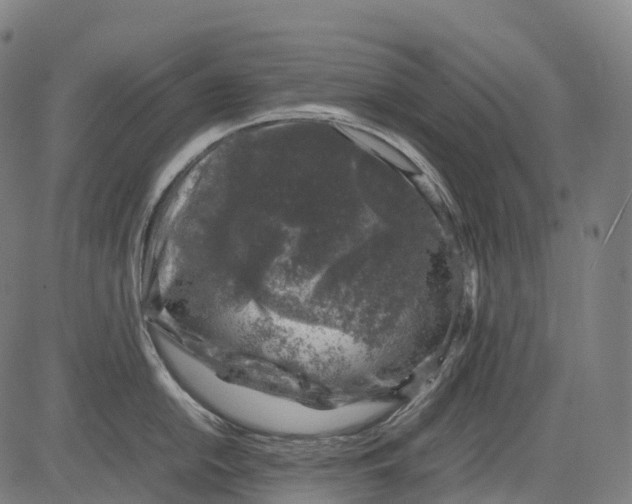 X0000081411054200702021558