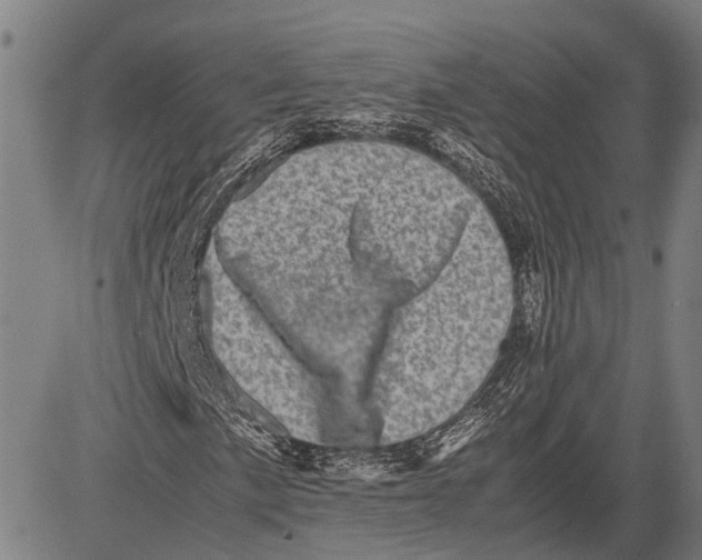 X0000081411057200702021557