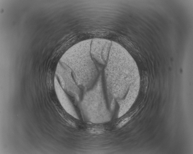 X0000081411058200702021557